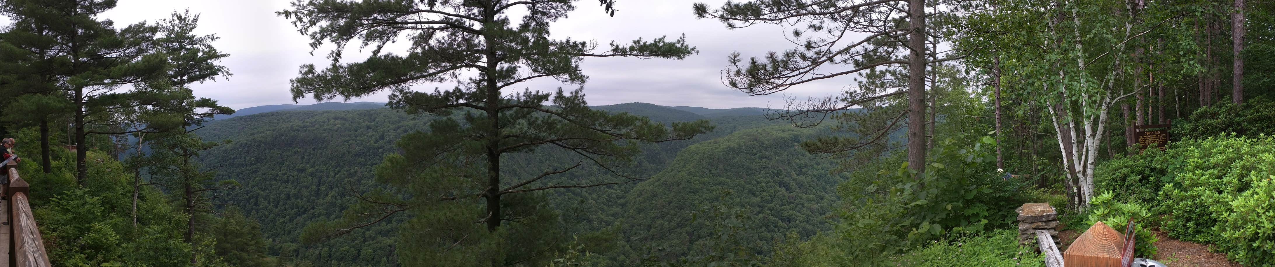 Camper-submitted photo at Leonard Harrison State Park Campground near Cowanesque Lake