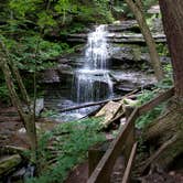 Review photo of Leonard Harrison State Park — Leonard Harrison State Park by Etzer D., July 30, 2018