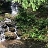 Review photo of Rainbow Springs State Park Campground by Kristin  K., July 30, 2018