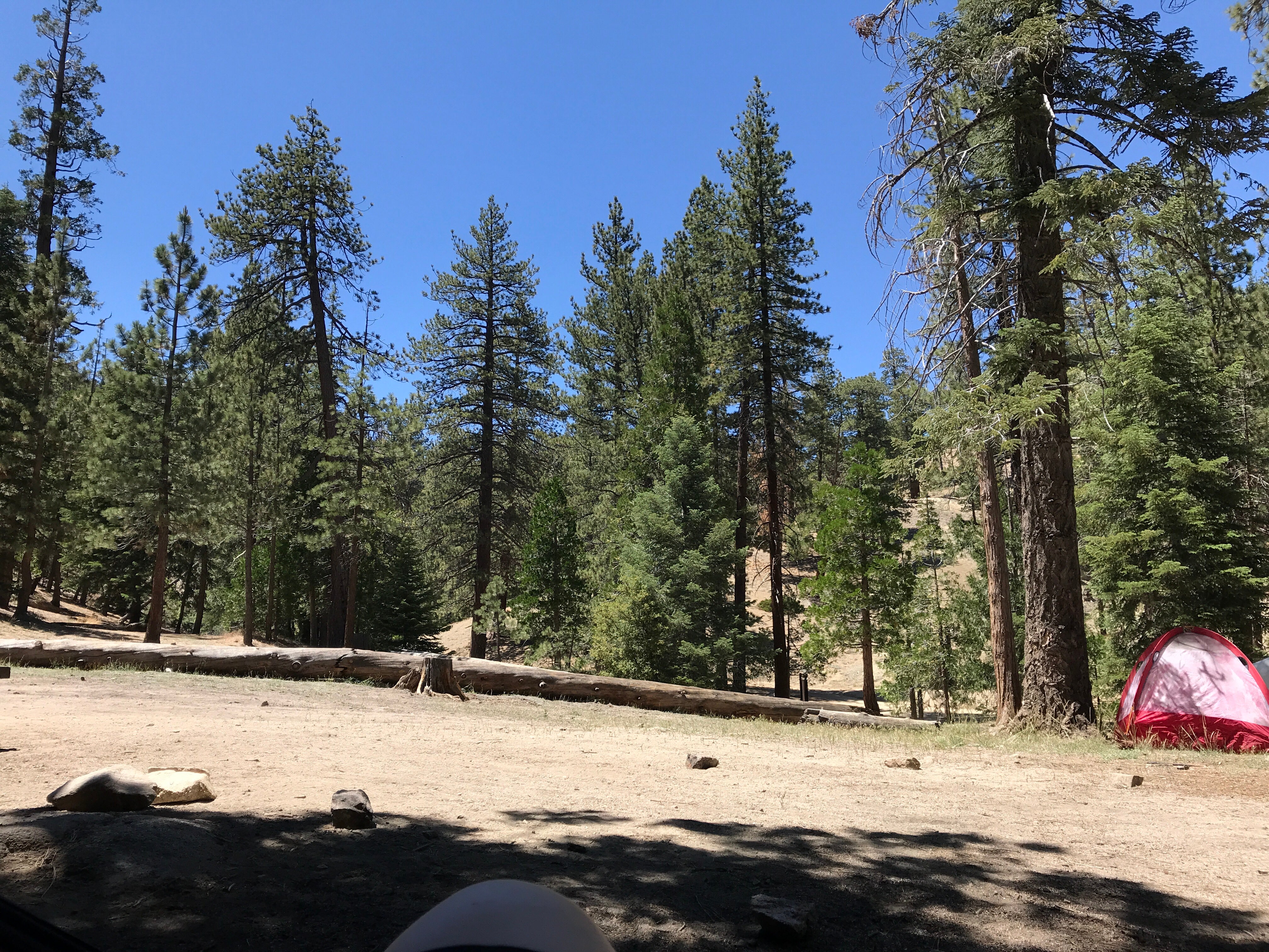Camper submitted image from Cooper Canyon Trail Campground - 5