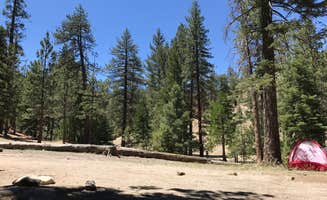 Meghan W.'s photo at Cooper Canyon Trail Campground in California
