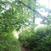 Review photo of Armitage Park & Campground - a Lane County Park by Kelli B., July 30, 2018