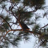Review photo of Fairview-Riverside State Park by Bran P., July 28, 2016
