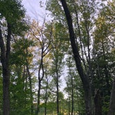 Review photo of Tobyhanna State Park Campground by Marlaina M., July 30, 2018