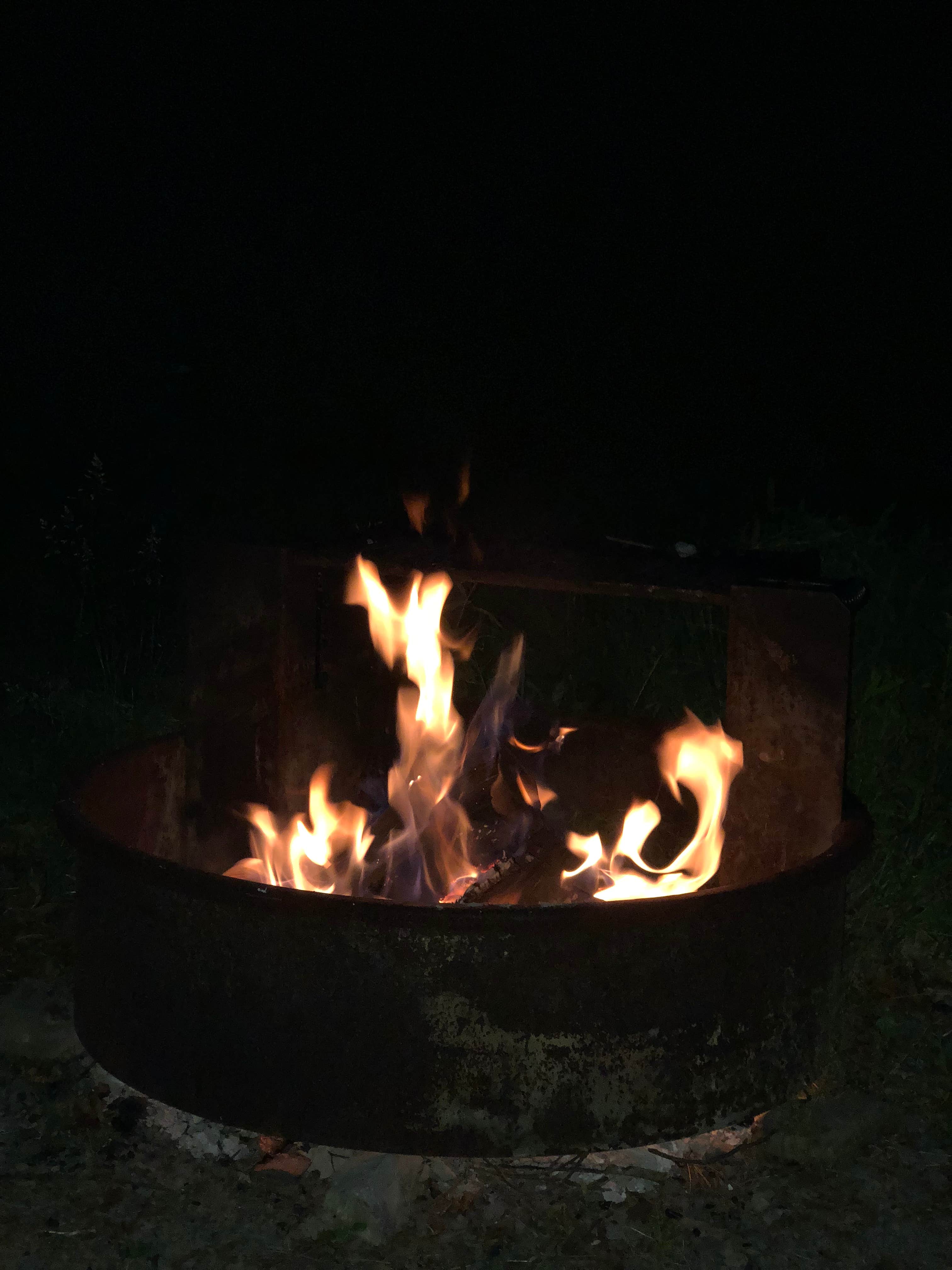 Camper-submitted photo at Tobyhanna State Park Campground near Hawley, PA