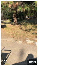 Camper-submitted photo at Waldron Campground — Farragut State Park near Bayview, ID