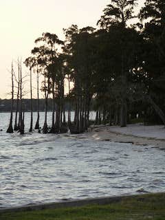 Camper submitted image from Fairview-Riverside State Park - 3
