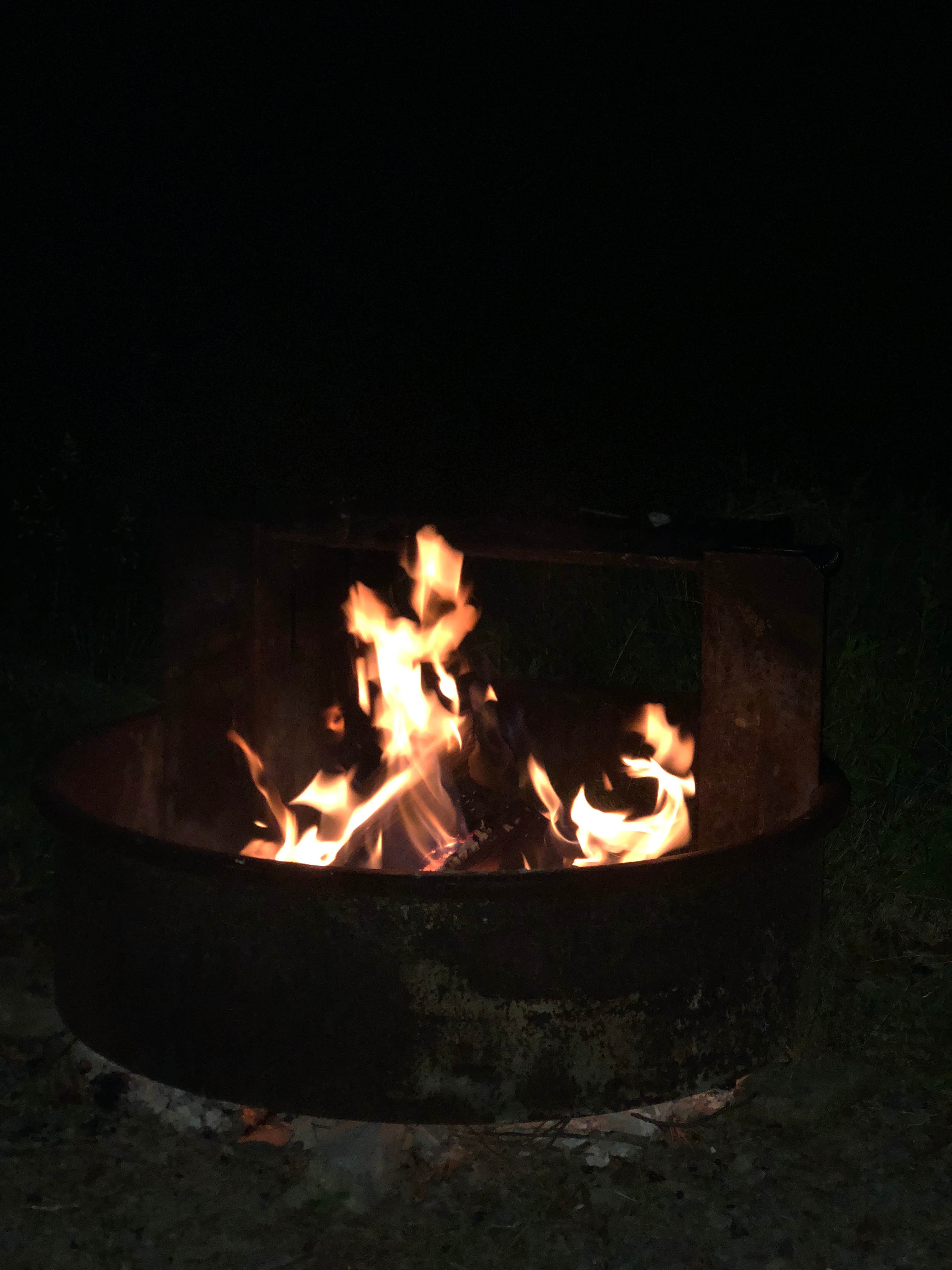 Camper-submitted photo at Lower Lake Campground Northwoods Area — Promised Land State Park near Hawley, PA