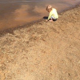 Dorena Lake muddy bottom beach