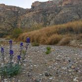 Review photo of Interior Primitive Sites — Big Bend Ranch State Park by Dash G., July 30, 2018