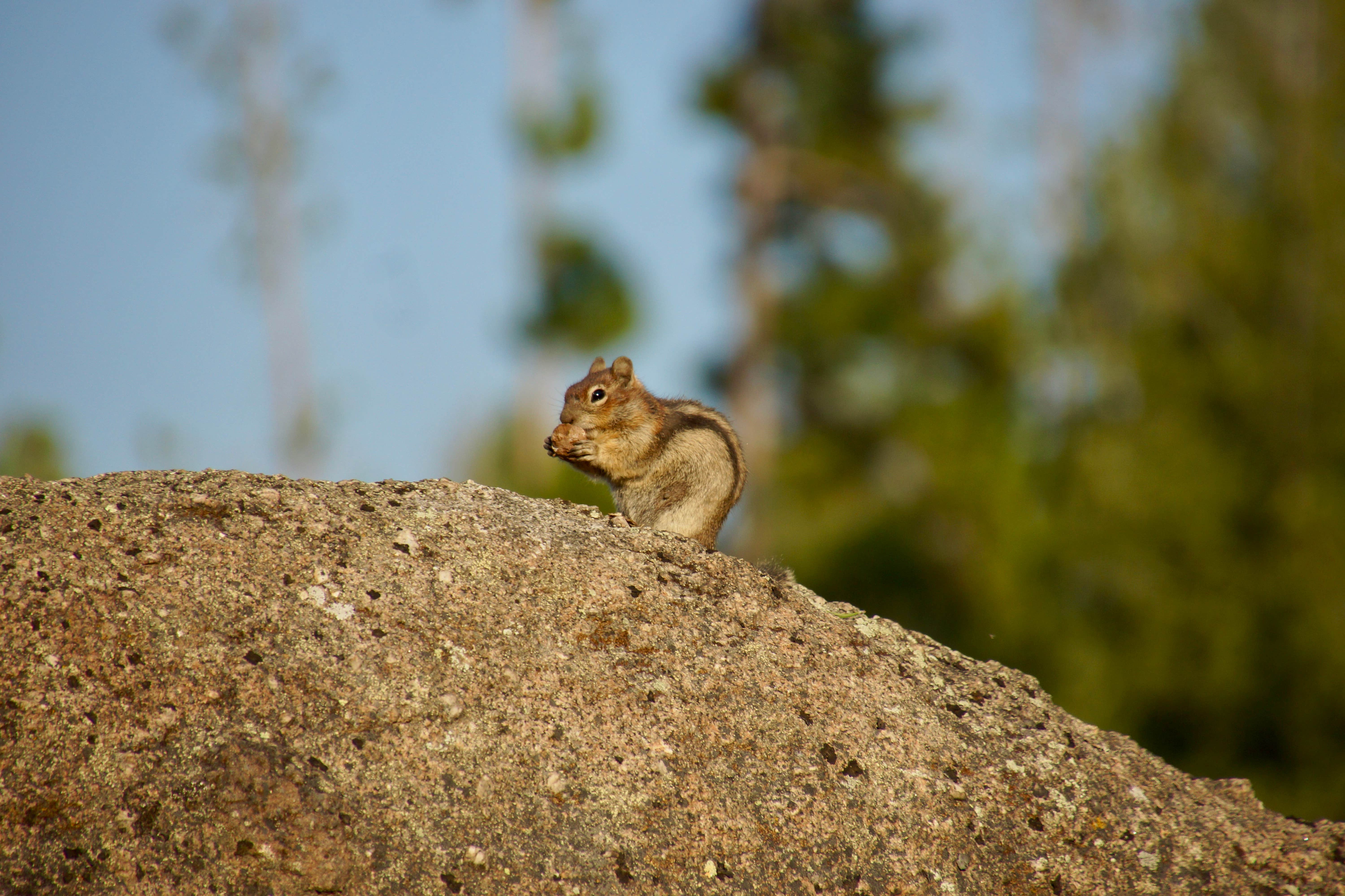 Camper-submitted photo at Delmoe Lake near Anaconda-Deer Lodge County, MT
