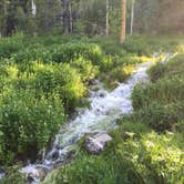 Review photo of Upper Lehman Creek Campground — Great Basin National Park by Pete M., June 22, 2015