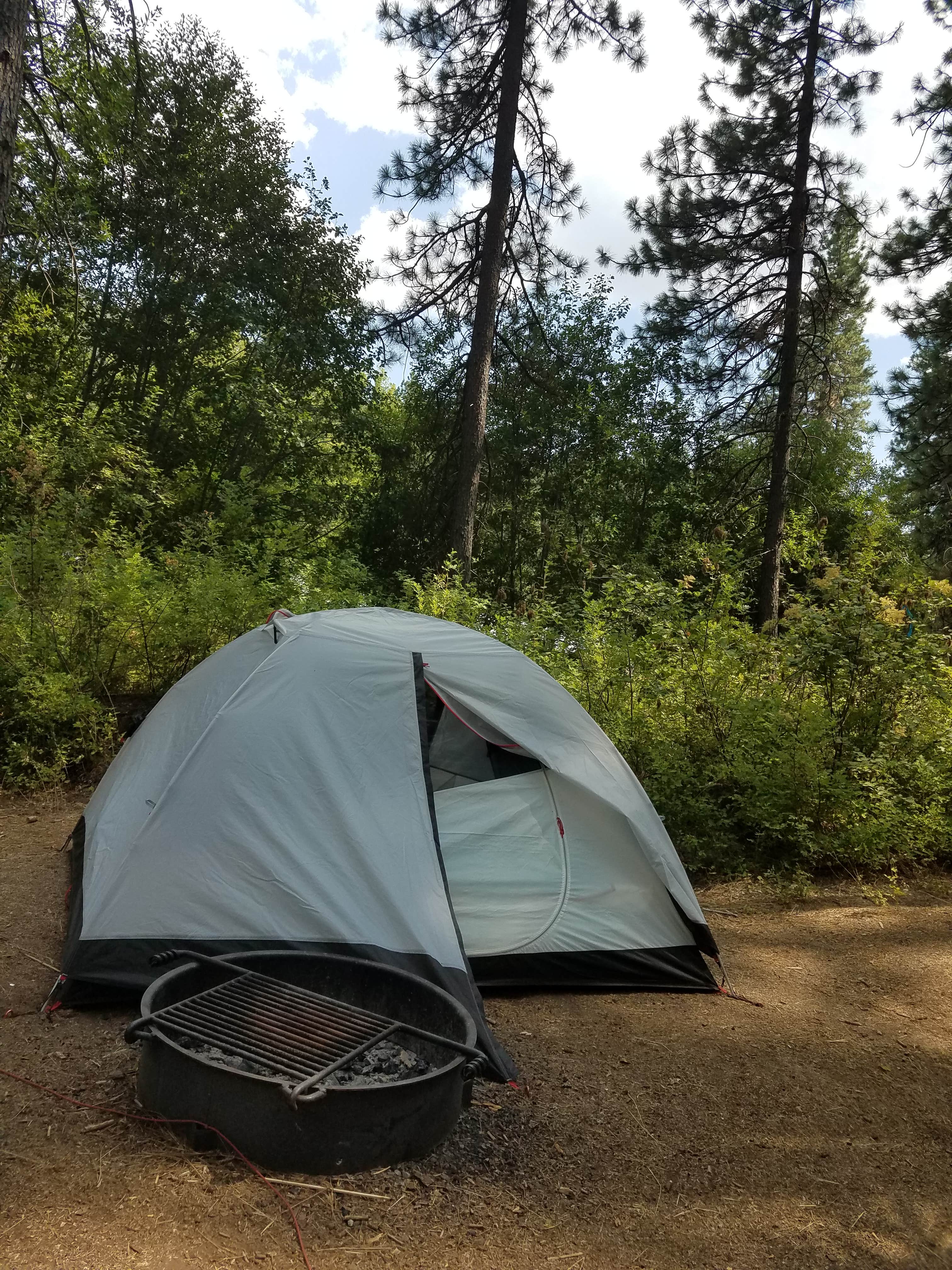 Camper submitted image from Brooks Memorial State Park Campground - 4