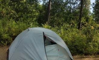 Ashley B.'s photo at Brooks Memorial State Park Campground near Toppenish, WA