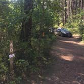 Review photo of Brooks Memorial State Park Campground by Ashley B., July 30, 2018