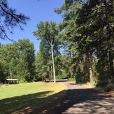Review photo of Brooks Memorial State Park by Ashley B., July 30, 2018