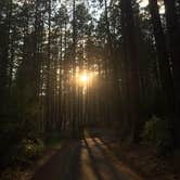 Review photo of Brooks Memorial State Park Campground by Ashley B., July 30, 2018