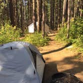 Review photo of Brooks Memorial State Park Campground by Ashley B., July 30, 2018