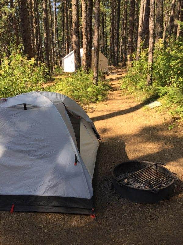 Camper submitted image from Brooks Memorial State Park Campground - 3