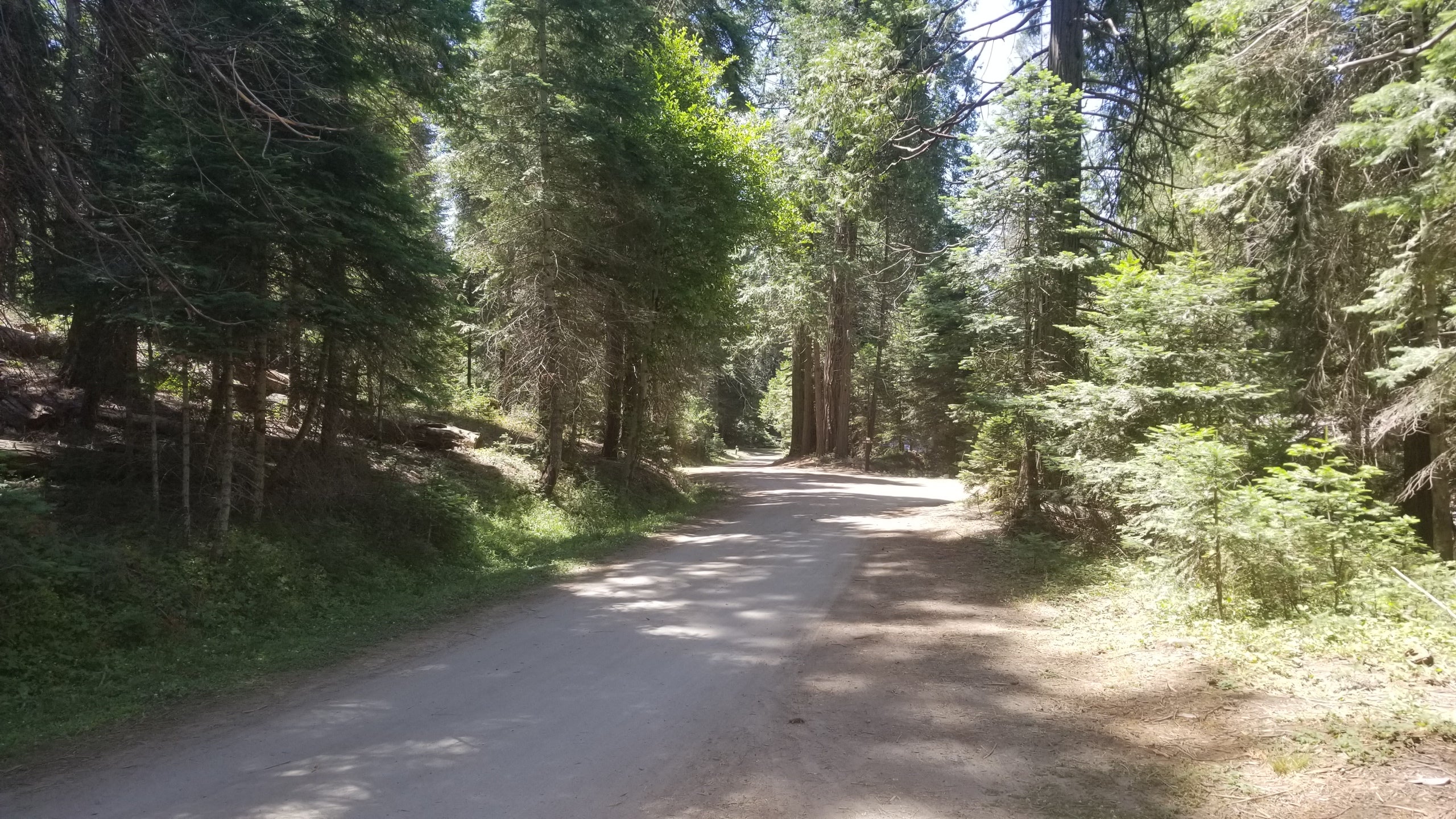 Road inside the campground