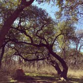 Review photo of McKinney Falls State Park Campground by Dash G., July 30, 2018