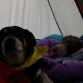 Review photo of Rocky Gap State Park Campground by Bill  G., July 31, 2018