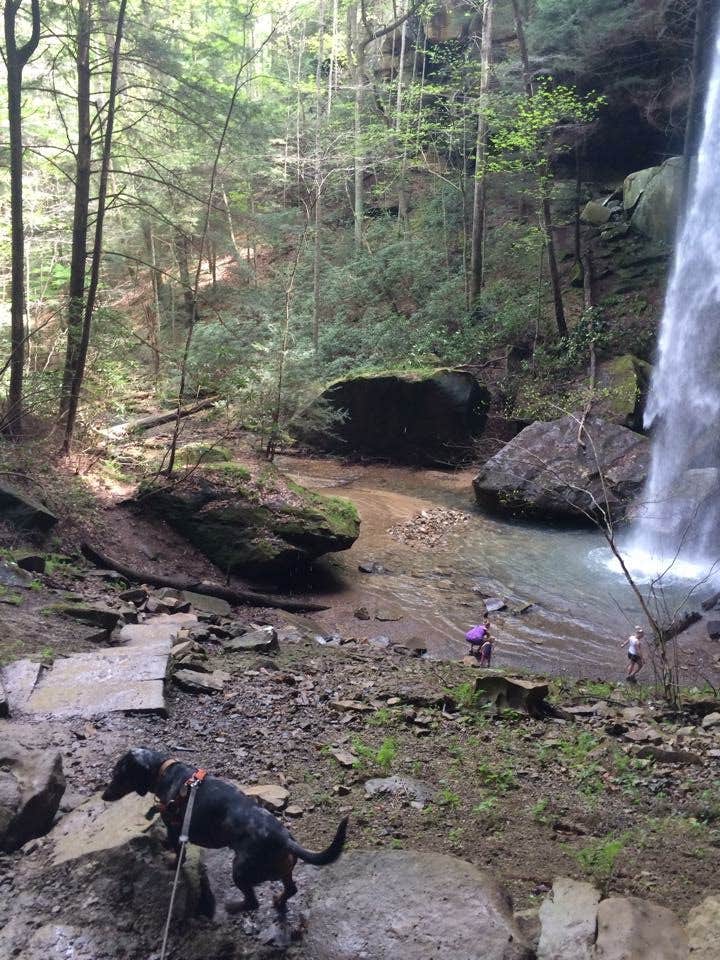 Camper submitted image from Blue Heron Campground — Big South Fork National River and Recreation Area - 5