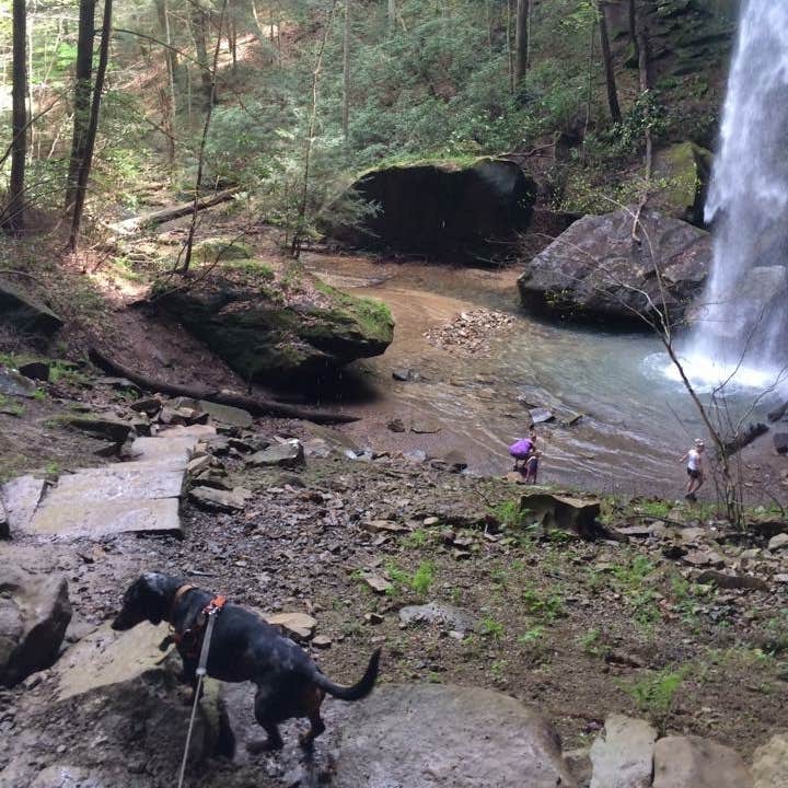 Blue Heron Campground Camping The Dyrt