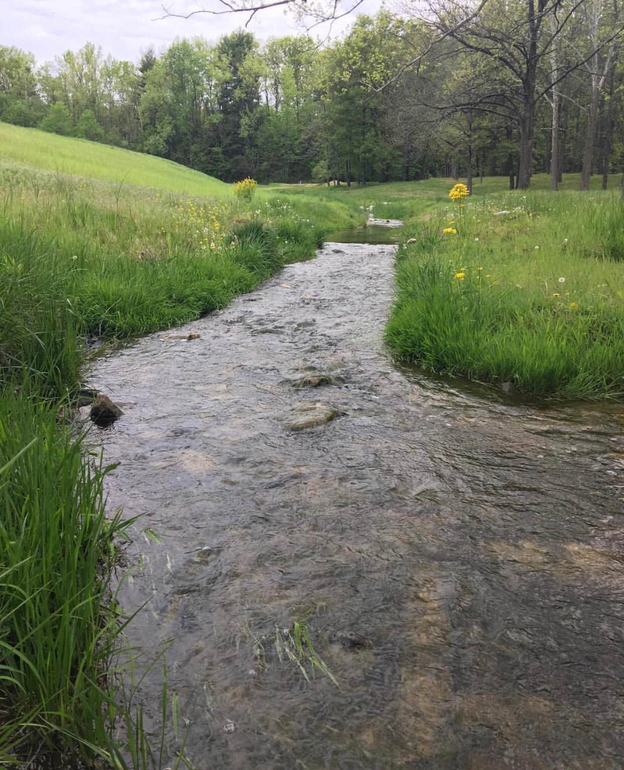 Camper submitted image from Fowler County Park - 3