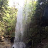 Review photo of Blue Heron Campground — Big South Fork National River and Recreation Area by Shelly S., July 3, 2016