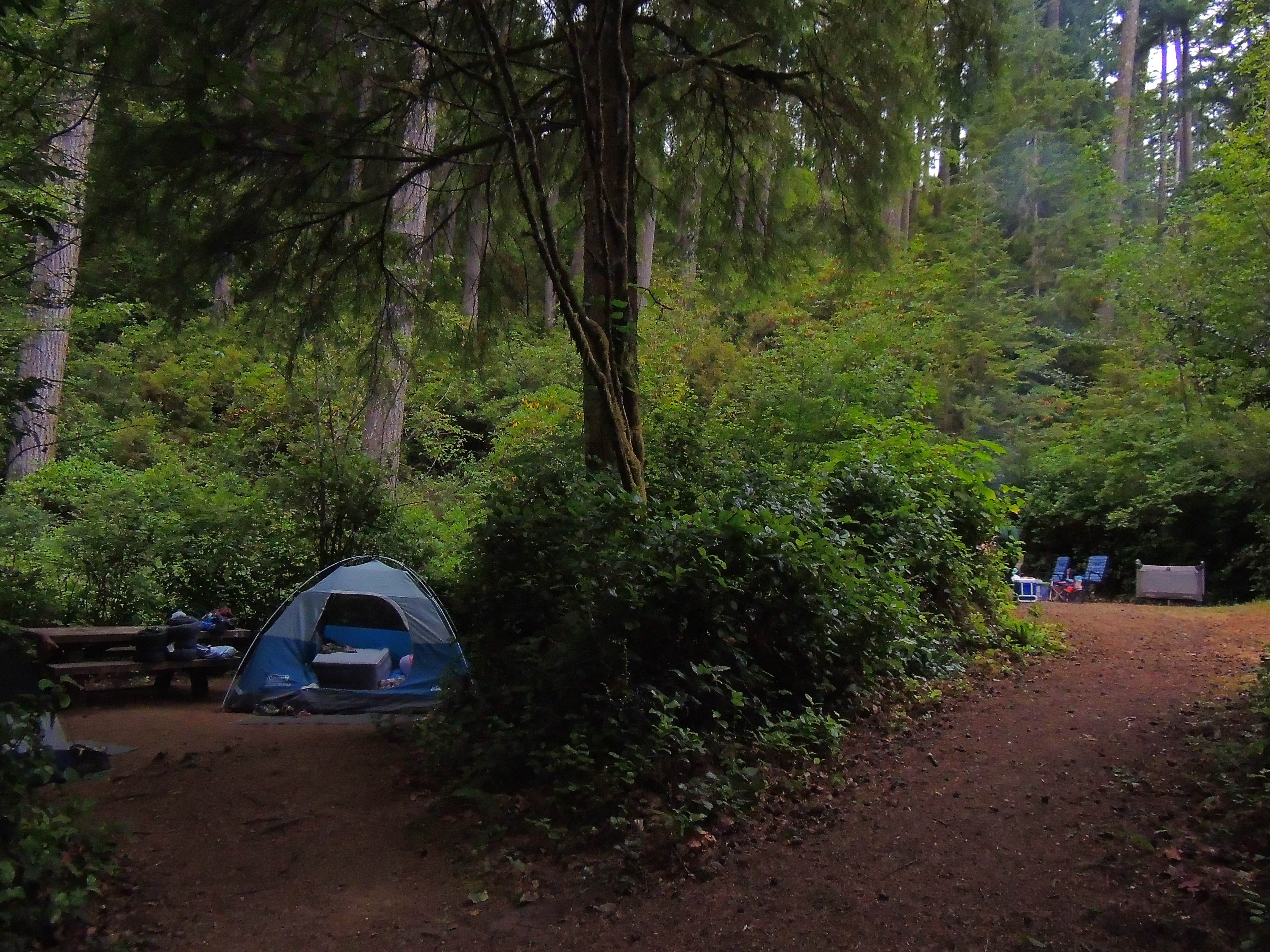 Camper submitted image from Tahkenitch Campground - 5