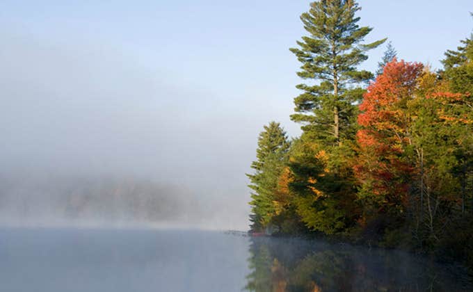 Camper submitted image from Nicks Lake Adirondack Preserve - 2