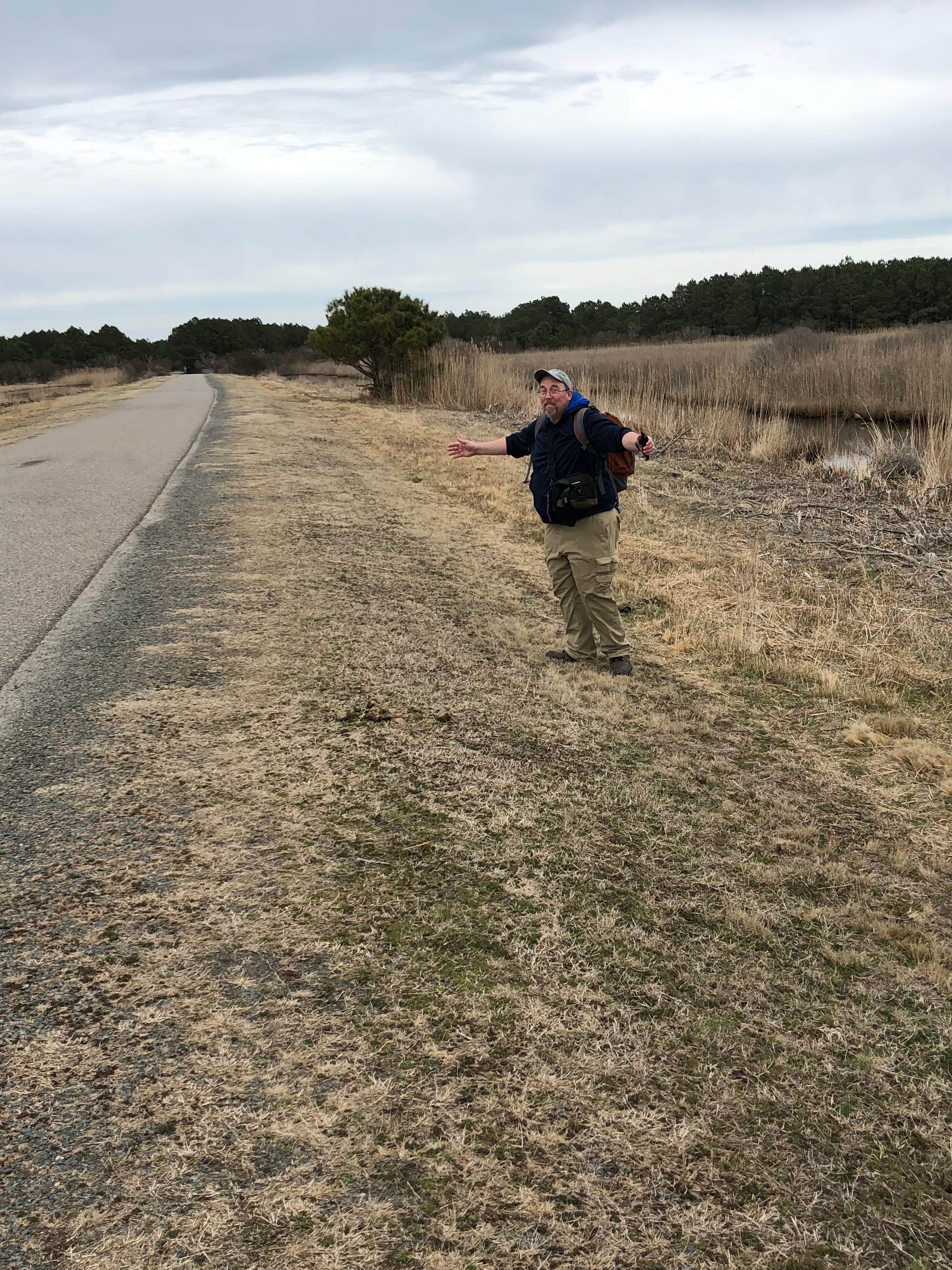 Chincoteague wildlife Management Area