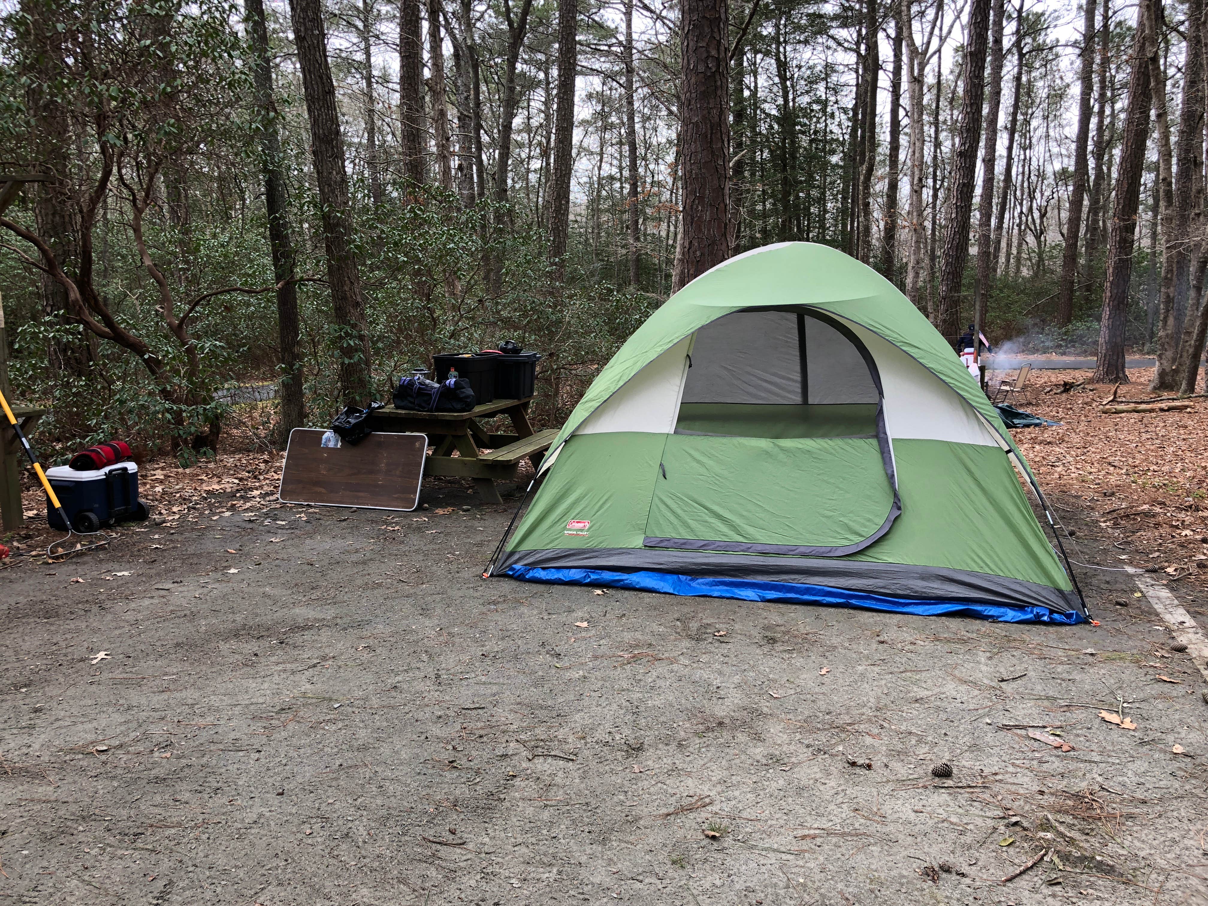 Camper submitted image from Shad Landing Campground - 5