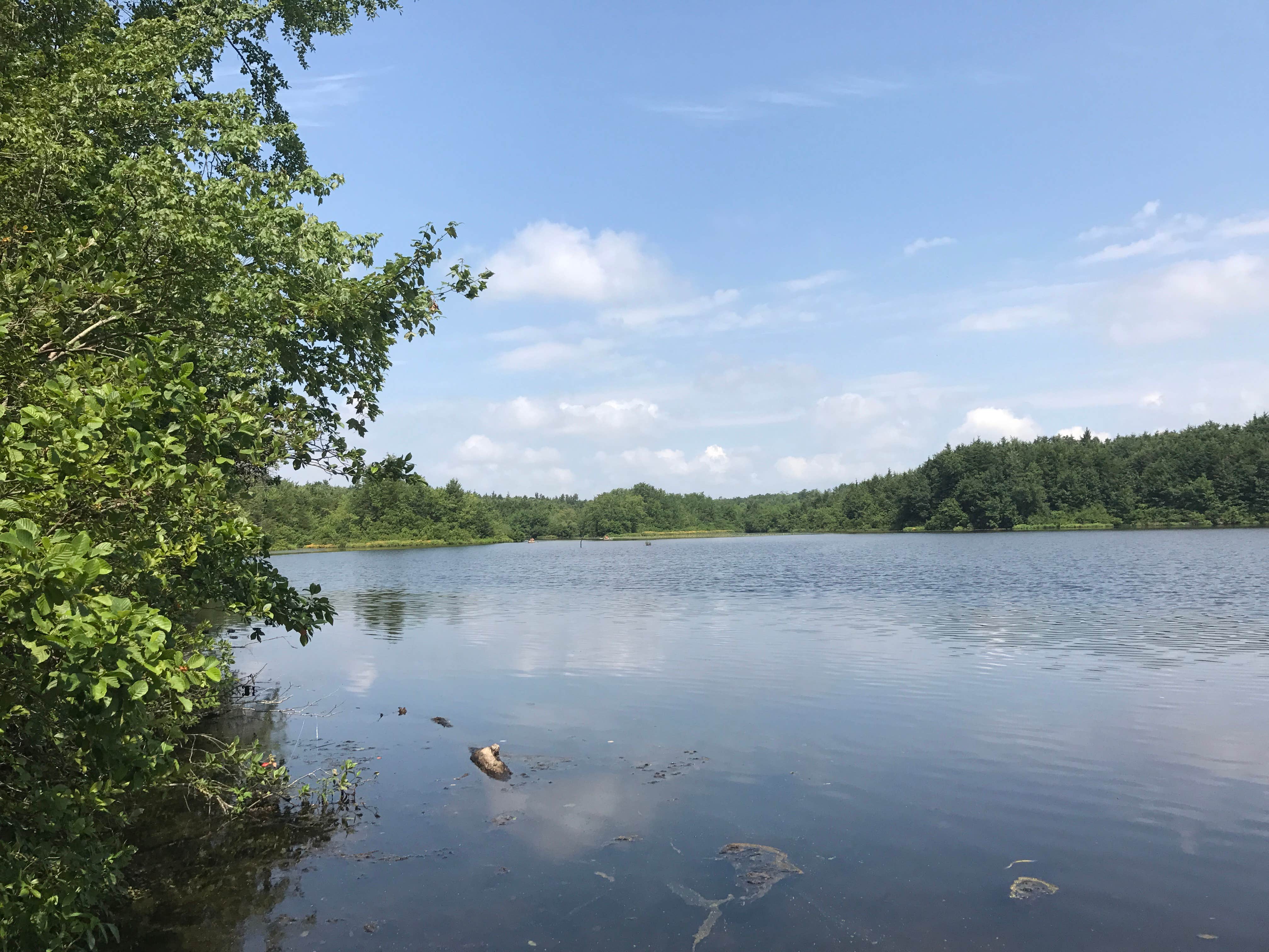 Camper-submitted photo at Parvin State Park Campground near Downe, NJ