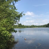 Review photo of Parvin State Park Campground by Amy C., July 31, 2018