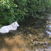 Review photo of Parvin State Park Campground by Amy C., July 31, 2018