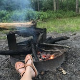 Review photo of Wharton State Forest by Amy C., July 31, 2018