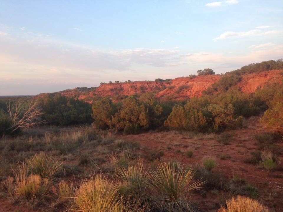 Camper-submitted photo at Honey Flat Camping Area — Caprock Canyons State Park near Plainview, TX