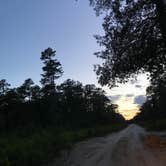 Review photo of Goshen Pond — Wharton State Forest by Amy C., July 31, 2018