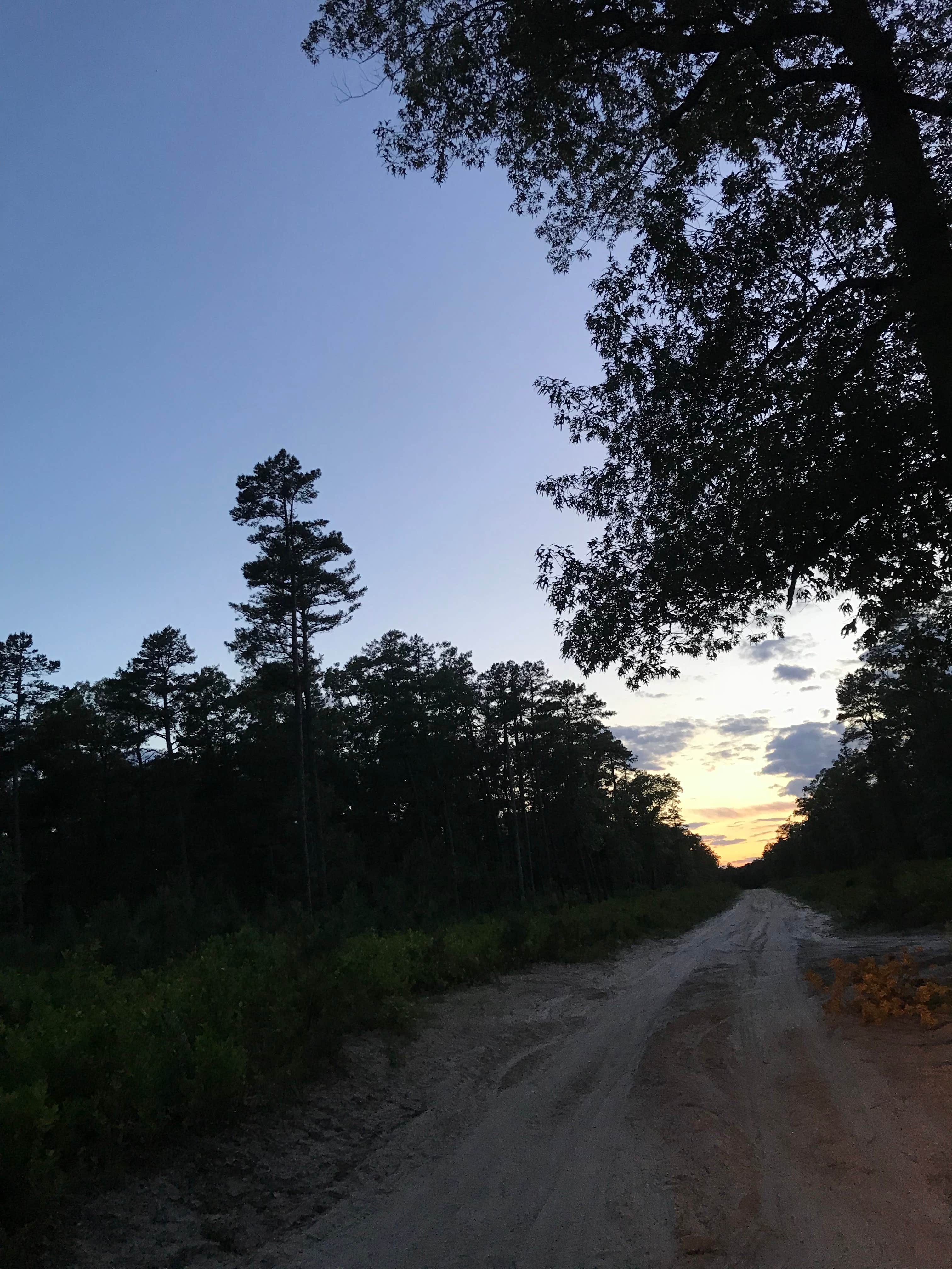 Camper submitted image from Goshen Pond — Wharton State Forest - 1