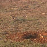 Review photo of Caprock Canyons State Park -  Honey Flat by Minette and Ron G., July 31, 2018