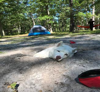 Camper-submitted photo from Goshen Pond — Wharton State Forest