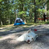 Review photo of Goshen Pond — Wharton State Forest by Amy C., July 31, 2018