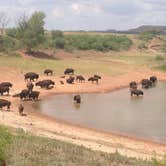 Review photo of Caprock Canyons State Park -  Honey Flat by Minette and Ron G., July 31, 2018