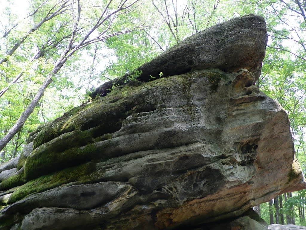 Camper-submitted photo at Red House Area — Allegany State Park State Park near Gowanda, NY