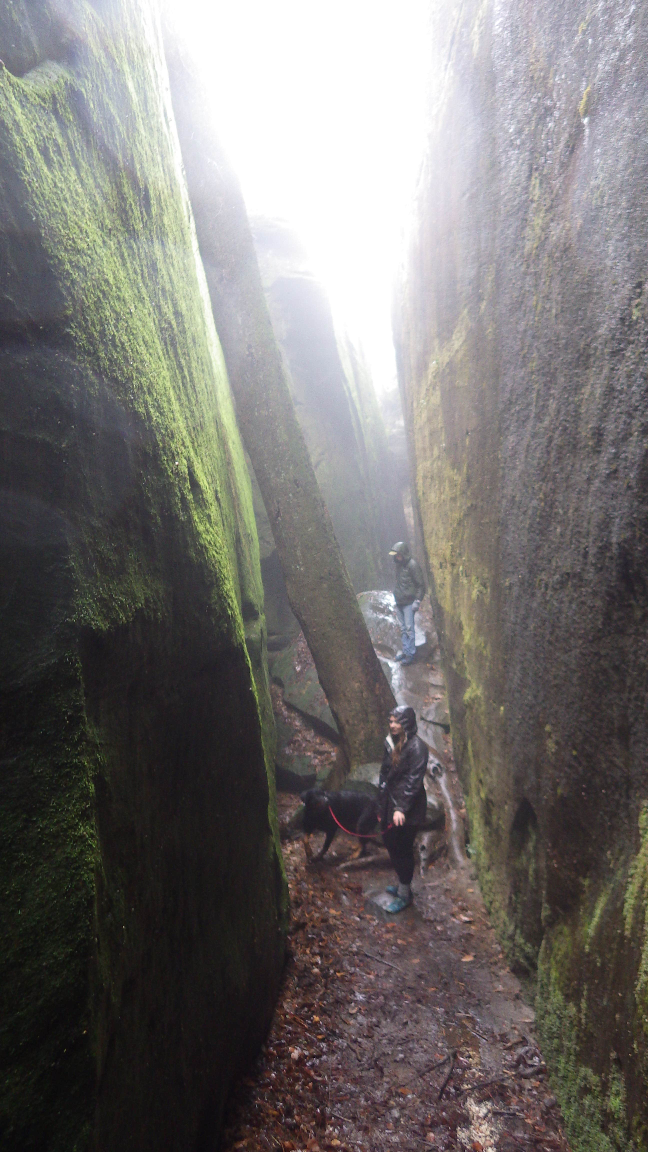Camper-submitted photo at Dismals Canyon Cabins and Primitive Campsites near National Forests in Alabama