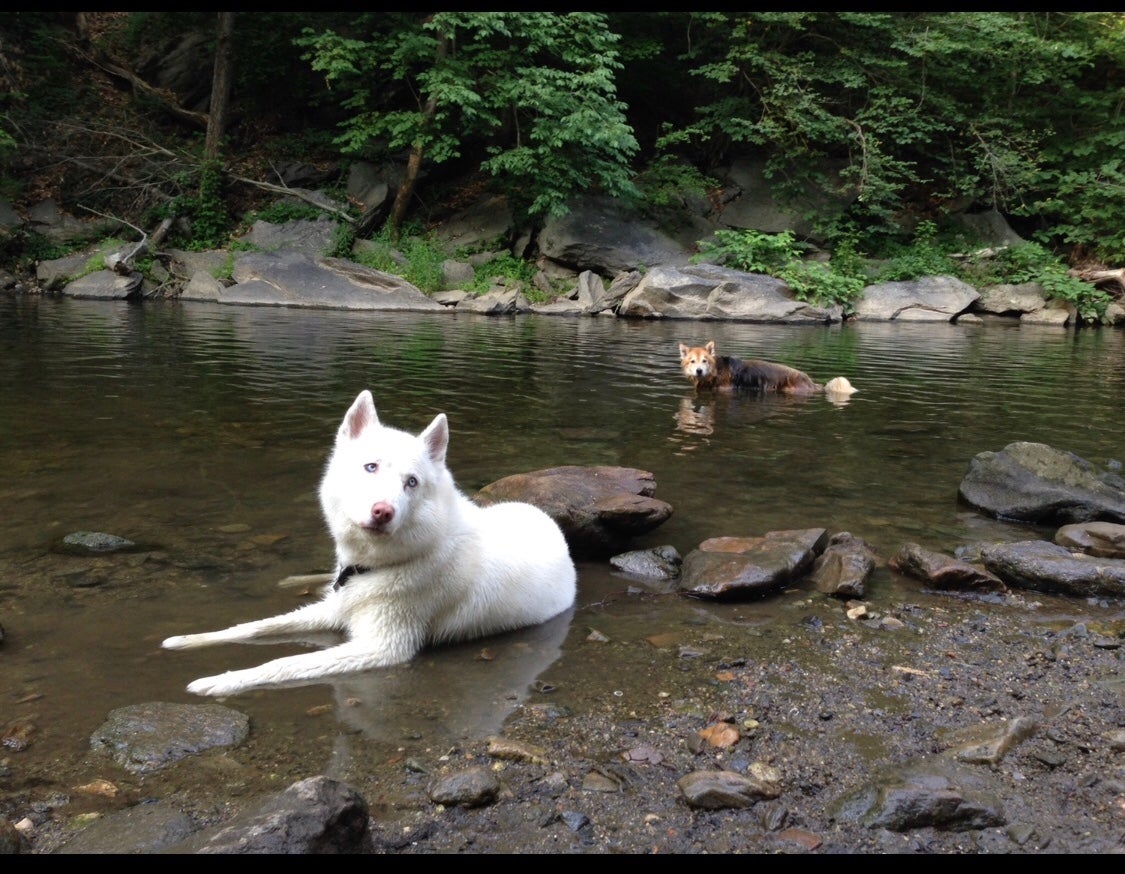 Hanging in the river 