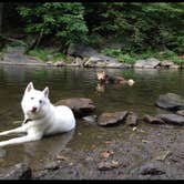 Review photo of Godfrey Bridge — Wharton State Forest by Amy C., July 31, 2018