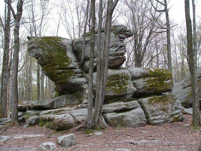 Camper-submitted photo at Red House Area — Allegany State Park State Park near North Collins, NY
